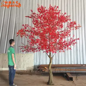 ����������ͼƬ ����ٷ�Ҷ�������������� �������װ�μ۸�