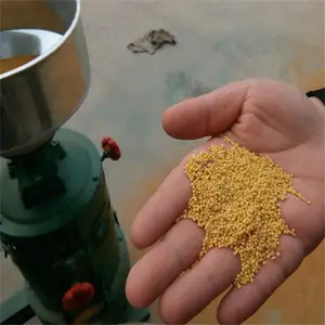 ����ȥ�����׻� ˫�����ʳ�ѿǻ� �����������