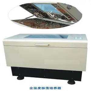��ŷȫ�´����������������ֵ���������Ϳ��ƣ�?? ȫ�¶���������