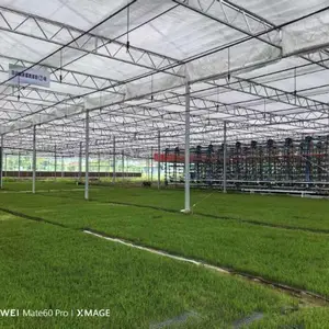浙江专业大棚价格 欢迎来电 厚本温室供应