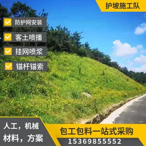 边坡种草 客土喷播施工队 三维网植草绿化 山体复绿工程 矿山治理