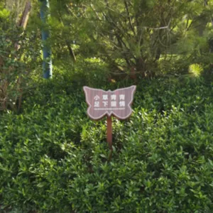 北京树篦子景观设施定制 欢迎咨询 杭州标景环境工程供应
