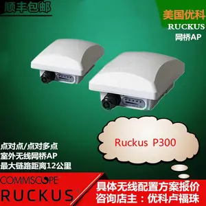 优科ZoneFlex P300 Ruckus P300室外AP 901-P300-WW01无线网桥