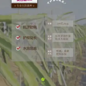 供应惠禾 复合菌KM 专业生防菌种 抗逆防病 护根促长 改善根际土壤微生态
