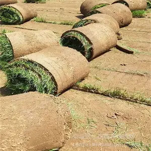 ���ۼ���ӱ��ƺ��ɫ���������˻����ļ����Ƥ������ɫ�����ǻ���