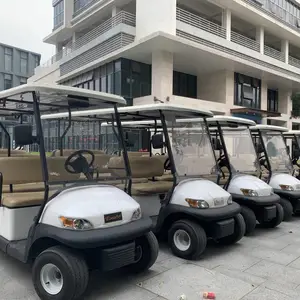韶关仁化旅游电动车旅游观光车出租