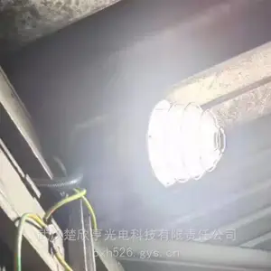 LED������GB8035 �ڵ�LED������ 220V50W������ҩ���ֿ⳧����