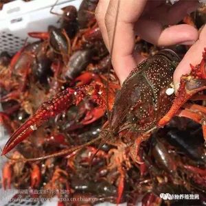 С��Ϻ��Ϻ��Ϻ��