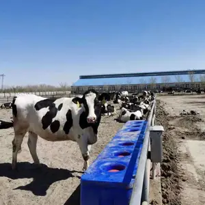 菲富利 肉牛奶牛耗牛电加热保温饮水槽 安全电压加热更放心