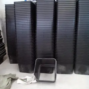 �����޵�Ѽ���� Ѽ���µ��� ��Ѽ���� һ�嵰��