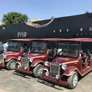 南京电动看房车厂家 四轮电动看楼车 电动老爷车