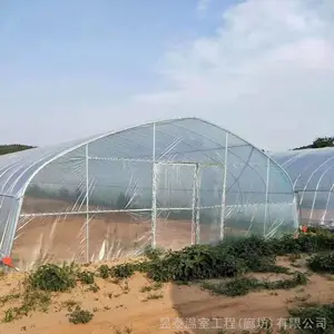 ����������������׹����߲���ֲ������̩���Ҳ���YTWSLP0237