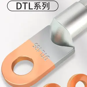 �� �� ������ �����������������DTLͭ������ͭ�̶����߱���