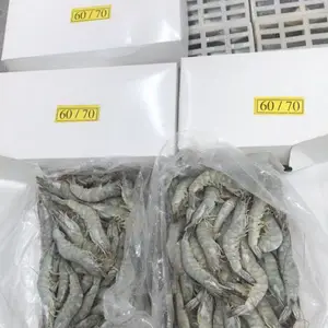 供应青岛大对虾 生冻4050明虾多少钱