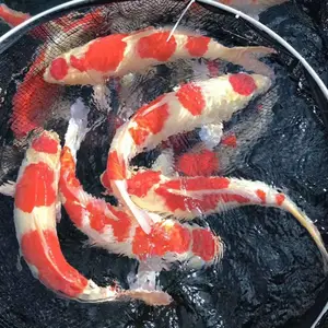 长兴义力家庭农场