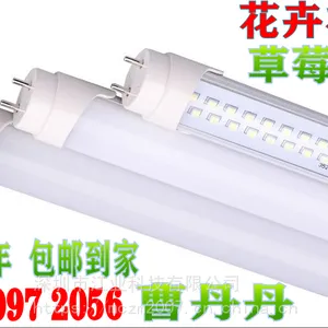 led���ʴ���ֲ�ﲹ���200W�����