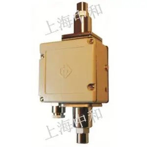上海D500/7D压力控制器供应商 欢迎咨询 中和供