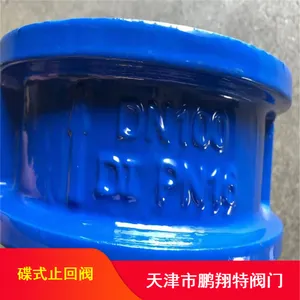 DH77X微阻缓闭止回阀板_蝶式缓冲双瓣止回阀不锈钢板