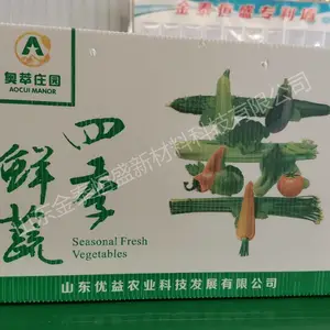 山东食品水果包装箱加工定制防水防潮蔬菜箱 可折叠可循环使用
