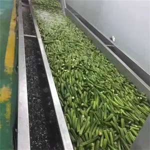 ����ˮԡʽ��ҩ��Ư�̻� ��ҩ��Ư���豸 ��������ҩ�Ļ��� Ͷ���� ʡ�˹�