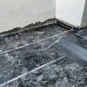 ������¥��ע�����̲�