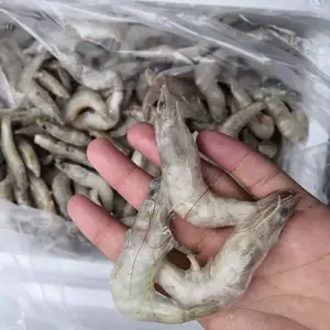 南京生冻南美对虾批发 大虾厂家货源