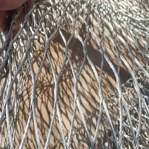 不锈钢鸟园防护网金属绳网现货