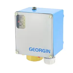��ӦGEORGIN���أ�GEORGINѹ��������
