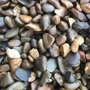 广东云浮别墅装饰鹅卵石 云浮鹅卵石规格齐全 云浮杂色鹅卵石基地