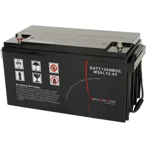 ÷����������12V6***H M2AL12-65 ��ά��Ǧ��