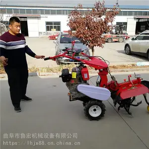 С�Ͳ�ݮ��¢������/�¿�ũ�ò�԰����������/��лƽ�������