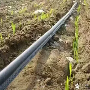 ɽ����ȿ����豸΢��ͷũ�����Զ����ϵͳ