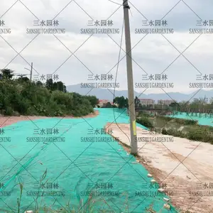 �㶫���������������ѻ��ѺͲ��ֻ��ֵģ�