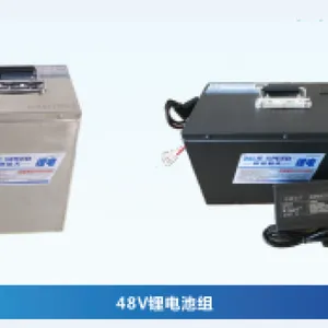 杭州极速电子 低速车锂电池