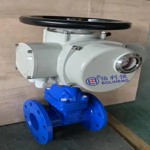 ������ ���ת ���ŵ綯װ�� DZW10-24 ��ͨ������ �綯ִ����