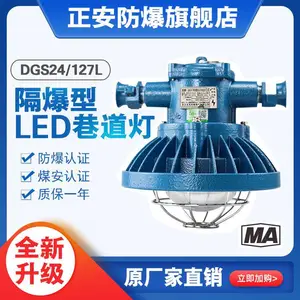 ú���þ���������DGS24/127L������LED����ƹ�Դ����220V