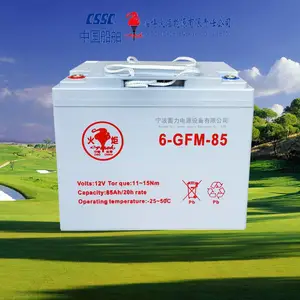 火炬6GFM85蓄电池,电动托盘搬运车电瓶,堆垛车12V85AH电池