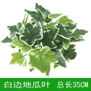 ��������ٲ�Ƥ���ڲ��û���ڹ����ܵ���õ�廨����Ҷֲ�ﱳ��ǽ