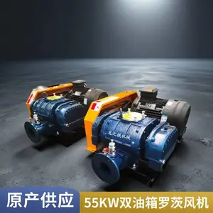 ��ˮ����������ѹ55kw˫�����޴ķ�� ������� ��֮�������ķ��