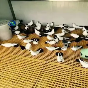 �����ָ�դ ��ֳ����դ �糧�ߵ�ƽ̨ �ӱ�����