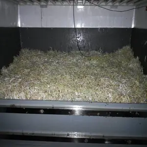 河南厂家直销色***全自动斗式豆芽机