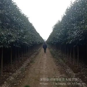 7���ִ�ҶŮ��۸� �׳ɻ� 