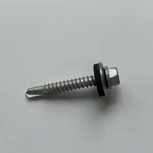 ���ڱ��304������Թ���5.5x38mm����ͺ���β�ݶ�