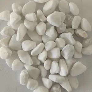 ��Ӧ̼��Ʒۣ�����̼��ƣ�����̼��� ����Ʒ���2000Ŀ