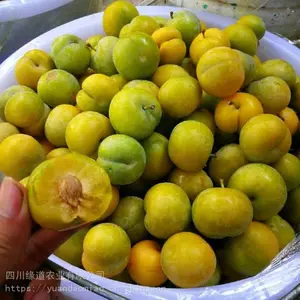���з���������-��Ӧ���������羭����