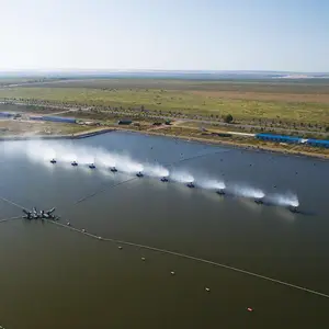 ú������Ũ��ˮ��е���������� ��Ч��������������