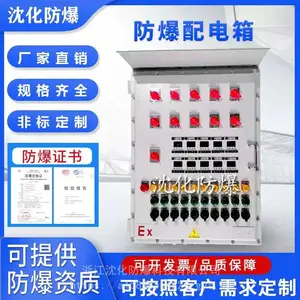 防爆钢板焊接配电柜 危废库房照明动力配电箱 检修电源控制插座箱
