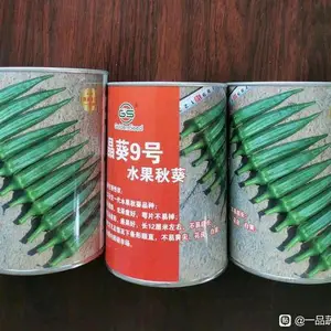 晶葵9号水果秋葵果色靓绿,光泽度好