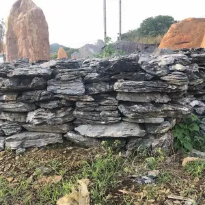 镇兴奇石 英德风景石 假山英石 英德石 庭院假山工程石 自然石