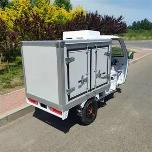 �ɵ����ʹ��߱���������ֳ���ʽ�綯�䶳�� С�͵�������